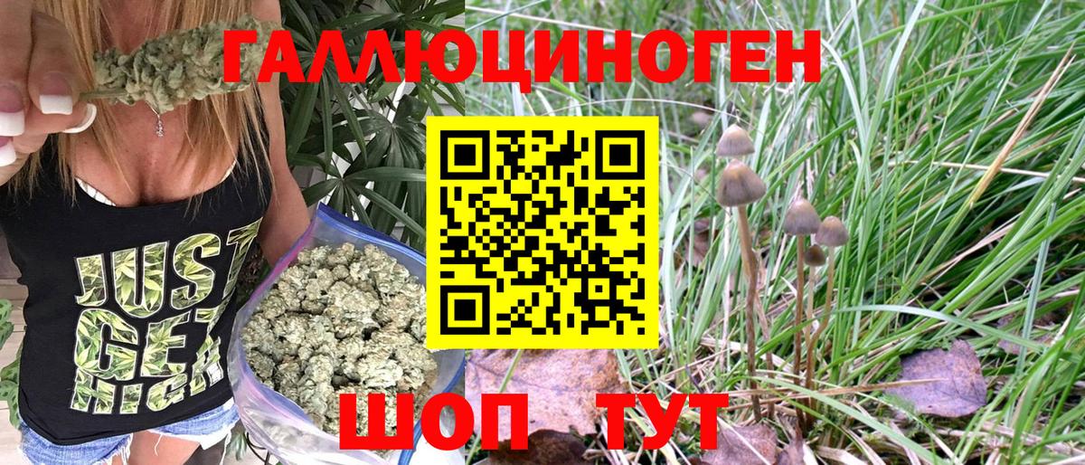 Псилоцибиновые грибы Psilocybine cubensis  купить  цена  Вход с VPN  Муром  Галлюциногенные грибы прущие грибы 